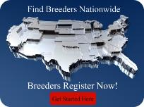 Pure Breed Dog Breeders